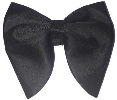 Nœud papillon noir