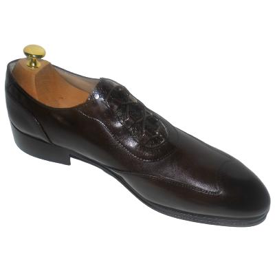 Chaussure Toledo marron foncé