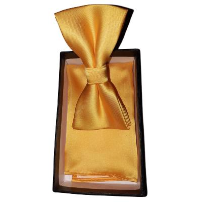 Nœud papillon et pochette soie jaune