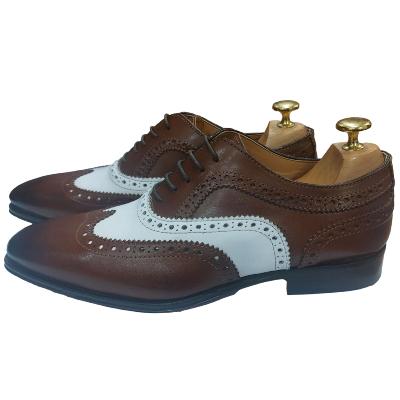 Chaussure derby homme marron et  blanc - Miami