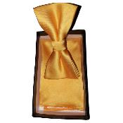 Nœud papillon et pochette soie jaune