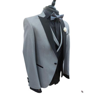 Costume de cérémonie 3 pièces gris : Ruben